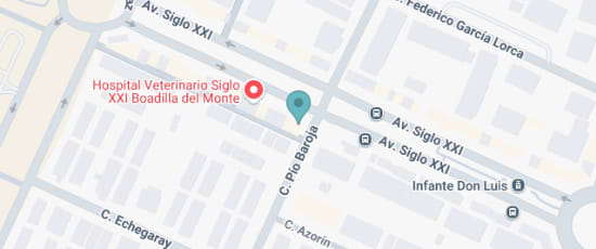 Avenida Siglo XXI, 13, Boadilla del Monte, 28660