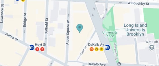 445 Gold Street, Brooklyn, 11201