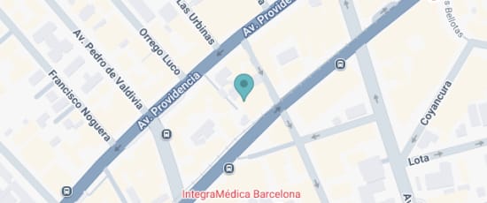 Paseo Orrego Luco 46, Providencia, 7510147