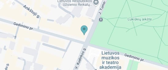 Gedimino Prospektas 35, Vilnius, 01108