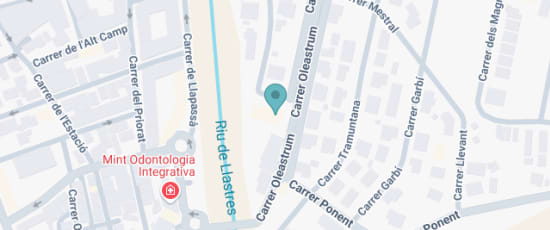 Oleastrum 44 Urb, Carrer Llastres, Miami Playa, 43892