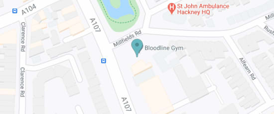 6 Millfields Rd, E5 0SB