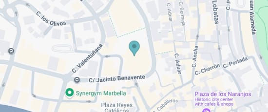 Calle Jacinto Benavente, 2, Marbella, 29601