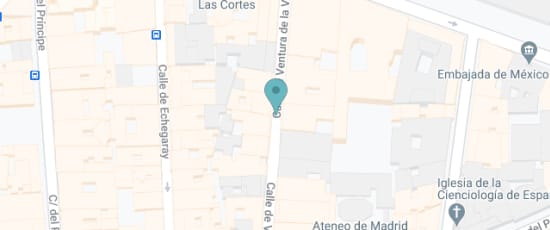 Calle Ventura de la Vega, 5, 28014