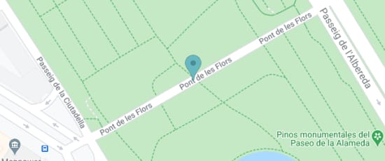 Puente de las Flores, 46010