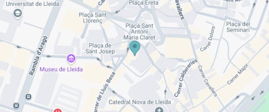 Carrer Llopis, 11, Lleida, 25002