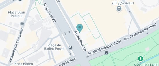 Avinguda de Pius XII, 4, València, 46009