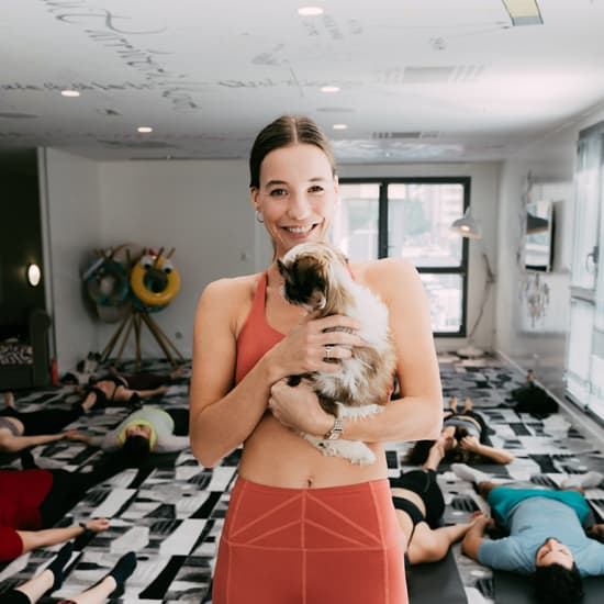 Puppy Yoga Club au Mama Shelter de Lille