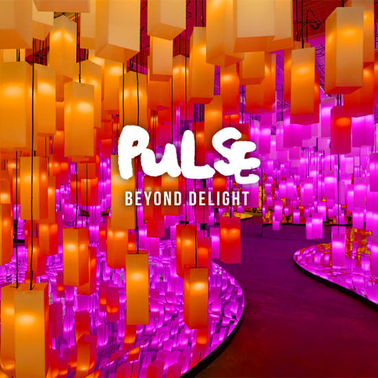PULSE: Beyond Delight