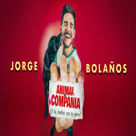 Animal de Compañía