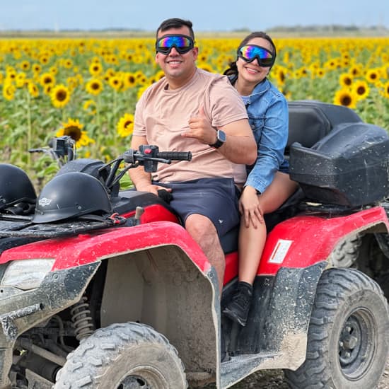 Best Day ATV Tour in Miami