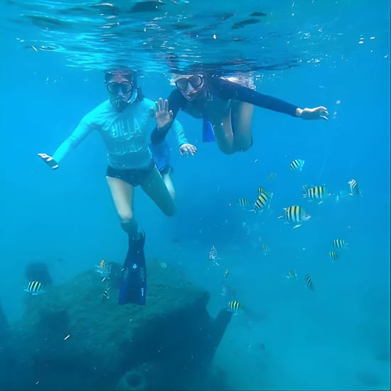 Blue Heron Bridge Guided Snorkel Tour 