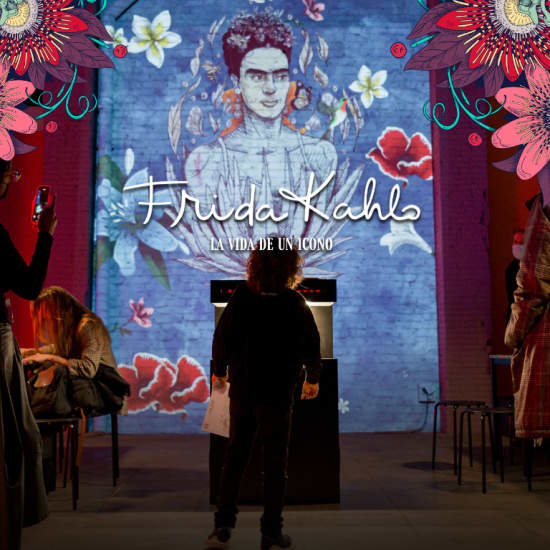 Frida Kahlo: La Vida de un Icono