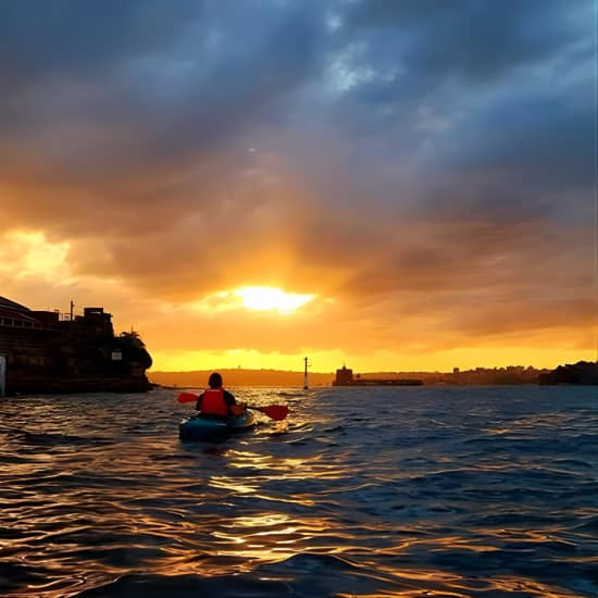 Sunrise Paddle Session on Syndey Harbour 