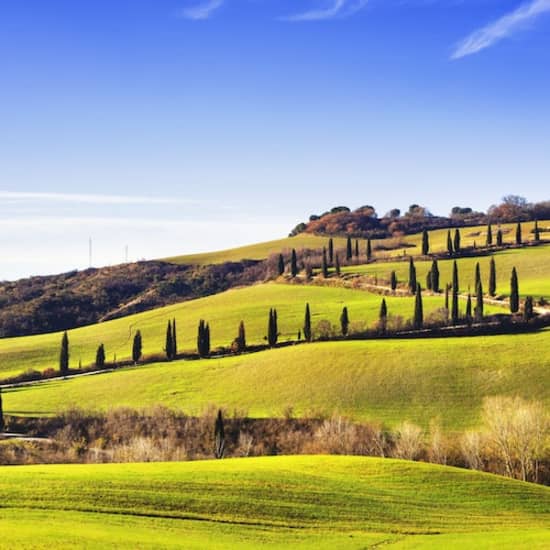 ﻿Val D'Orcia, Montepulciano and Pienza: Day trip from Florence