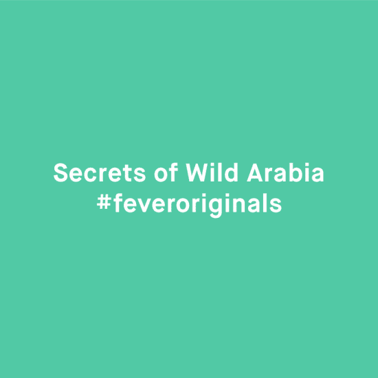 Secrets of David Attenborough's Wild Arabia