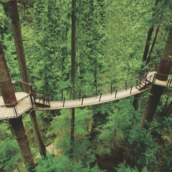Capilano Suspension Bridge Park: Walk the treetops of the rainforest
