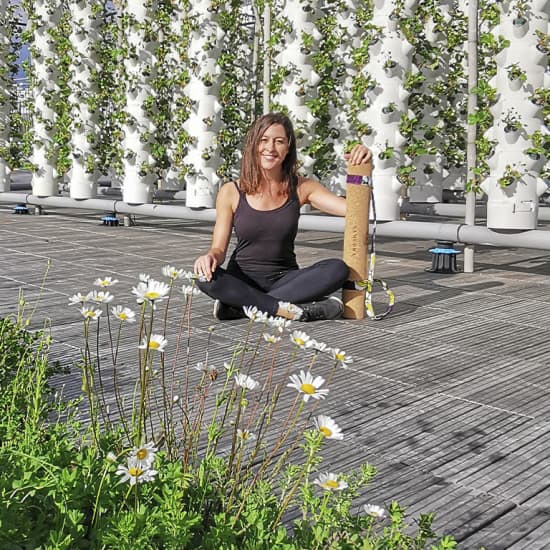 ﻿Rooftop: Yoga classes on a Parisian rooftop