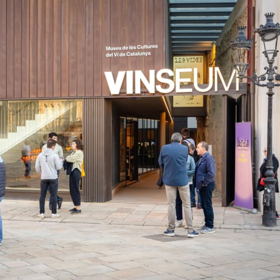 ﻿Vinseum - Guided tour and wine tasting