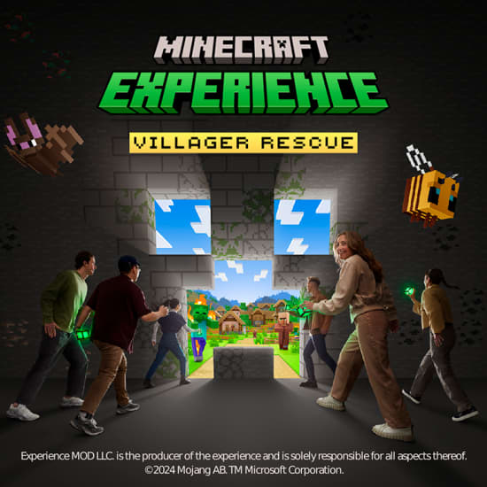 Minecraft Experience