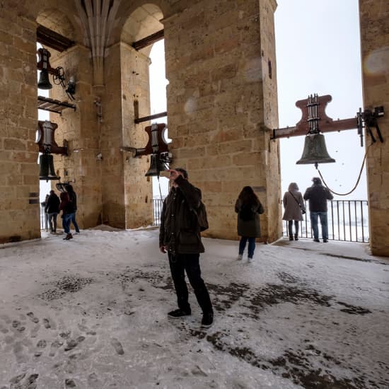 Visita guiada a la Torre