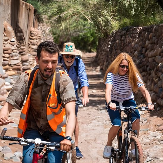 Cyclisme au soleil dans la palmeraie de Marrakech - Petit déjeuner inclus