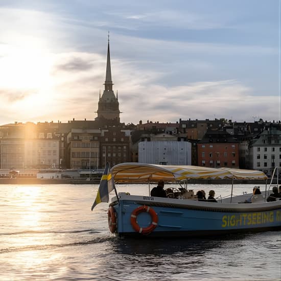 Open Electric Boat Ride in Stockholm