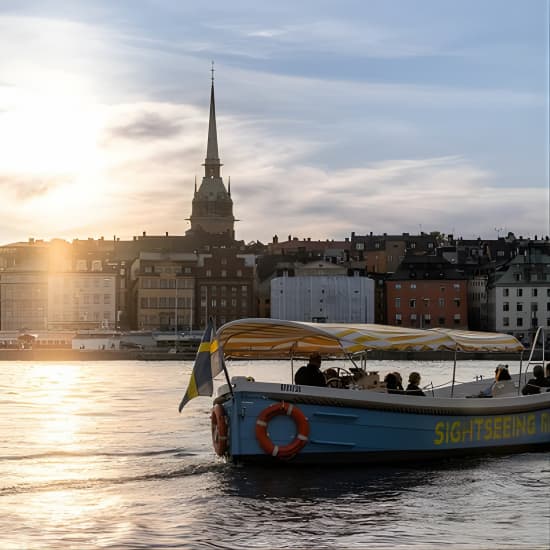 Åktur med öppen elektrisk båt i Stockholm