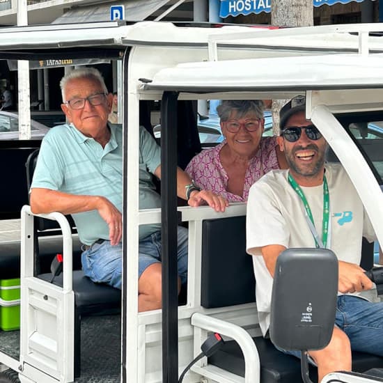 Tour en tuk tuk eléctrico: Málaga