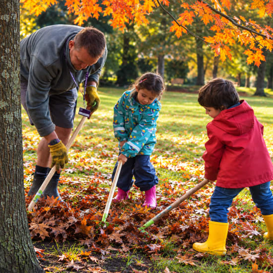 Little green fingers at Fulham Palace — event image