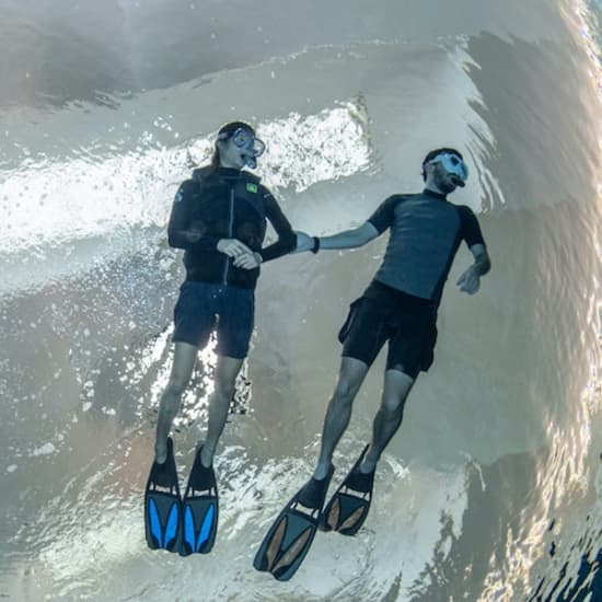Snorkeling at Deep Dive Dubai at Deep Dive Dubai, Dubai, United Arab Emirates