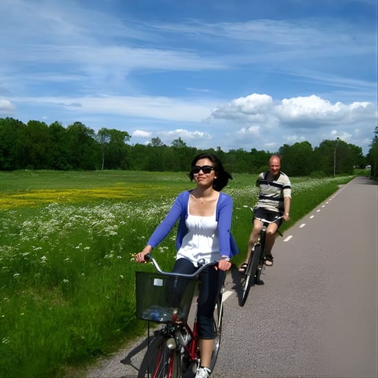 Daytrip Bike Tour on the Swedish Countryside Private