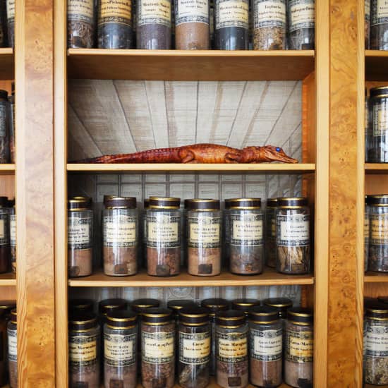 Affiche Visite guidée : La Dynastie Menier, hôtel particulier et musée caché