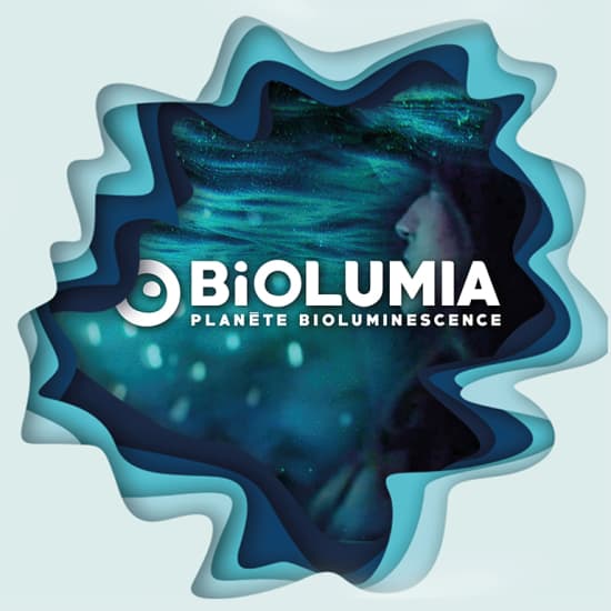 Biolumia, Planète bioluminescence : l’expérience immersive