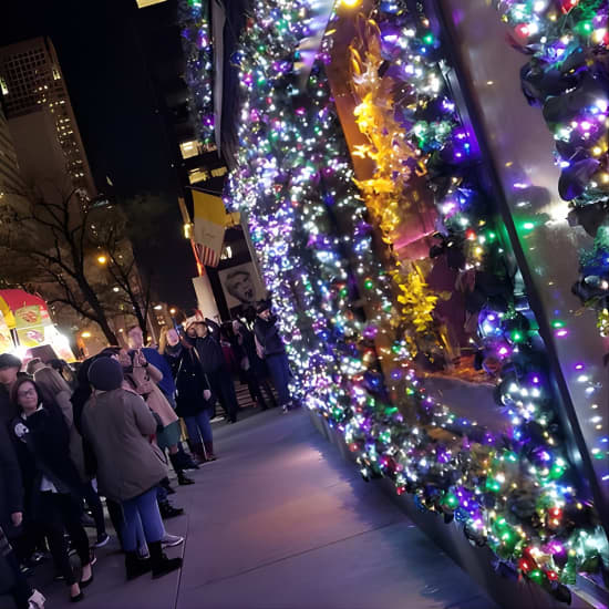 ﻿Recorrido a pie por la Extravagancia de las Luces de Navidad