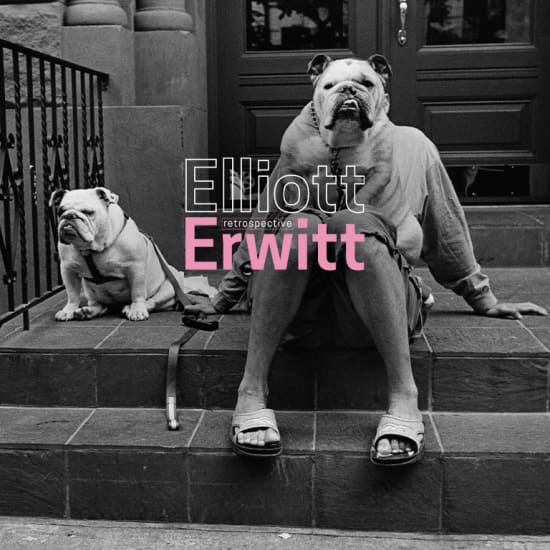 Elliott Erwitt. Une rétrospective