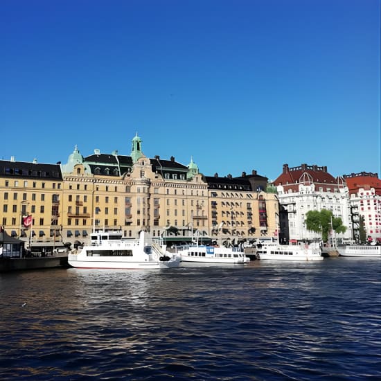 Scandinavian Art, Architecture and Design Tour in Stockholm