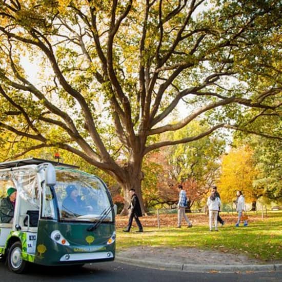 The Explorer - Melbourne Gardens