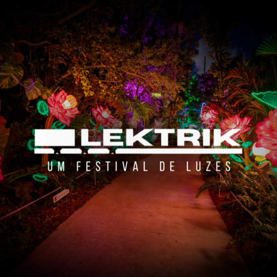 Lektrik: A Festival of Lights