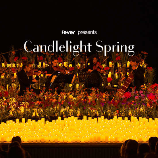 Candlelight Spring: Coldplay vs. Ed Sheeran