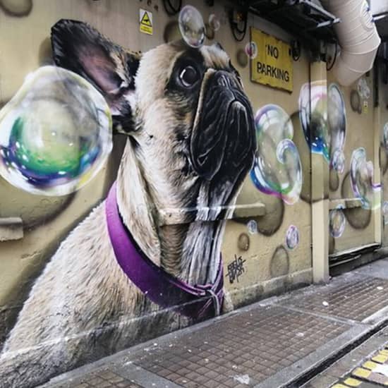 Glasgow Street Art Tour: uncover the real art scene of the city
