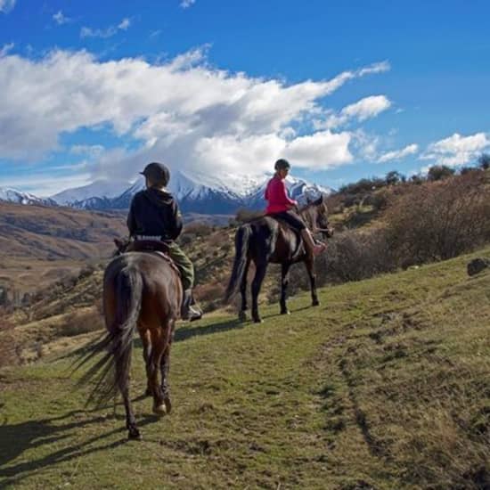 Small-Group Gold Discovery Horse Riding in Cardrona Valley