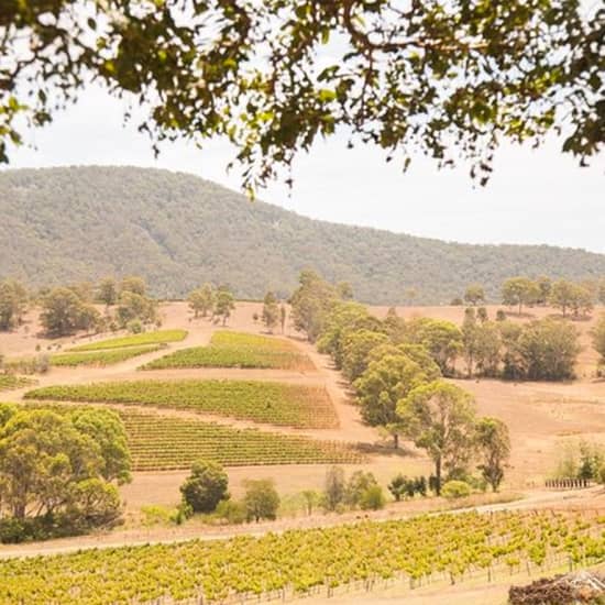 Hunter Valley Wine and Wildlife Reserve Tour from Sydney