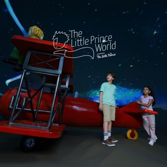 The Little Prince World