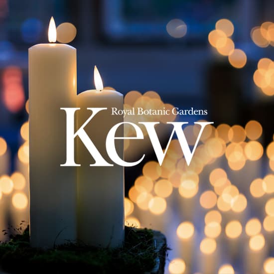 The Nash Sessions: Candlelit Christmas Carols at The Royal Botanic Gardens, Kew — event image