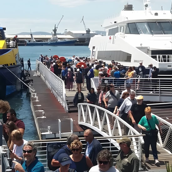 Robben Island Prison Museum + Stellenbosch Wineries Including Ferry Ticket F/D