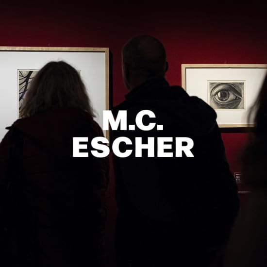 M.C. Escher - Exposition- Carte-Cadeau