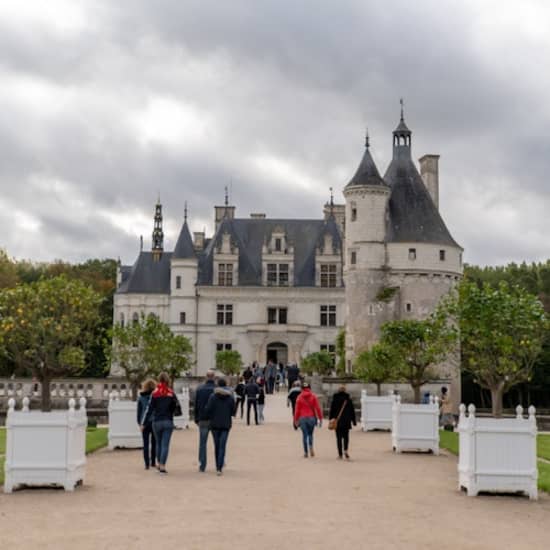 Visite guidée d'une journée des Châteaux de la Loire au départ de Paris