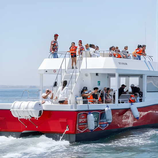 30min Harbour Boat Cruise Cape Town