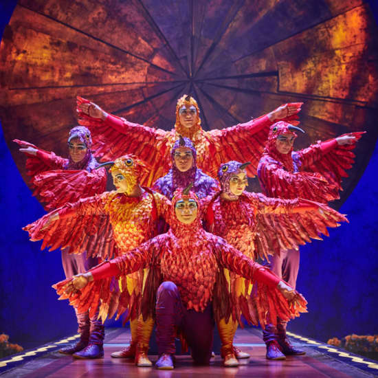 Cirque du Soleil 2026: LUZIA in Oaks - Gift Card